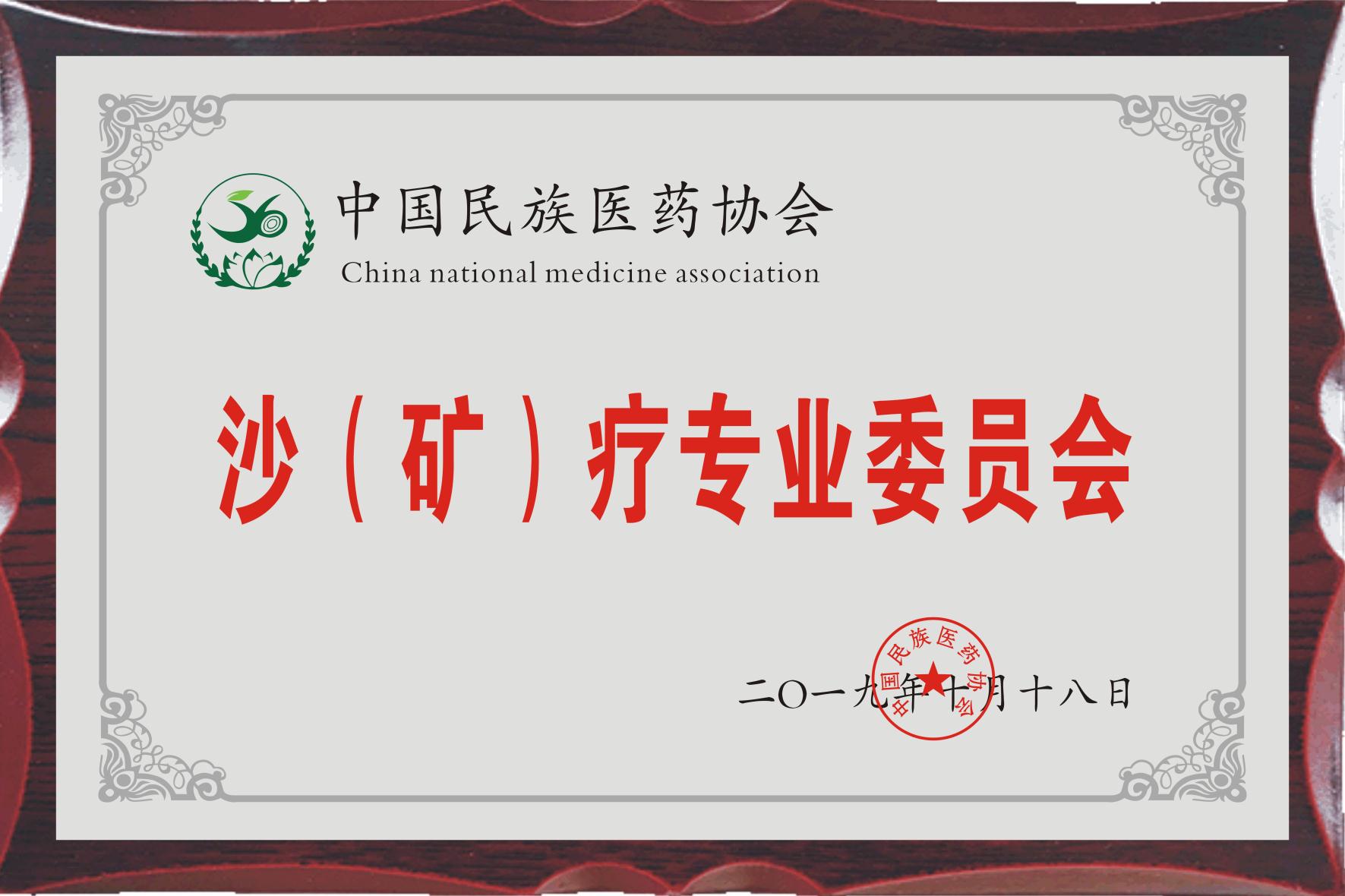中國(guó)民族醫(yī)藥協(xié)會(huì)沙（礦）療專(zhuān)業(yè)委員會(huì)